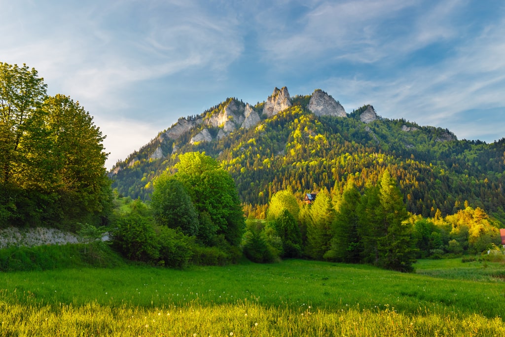 pieniny